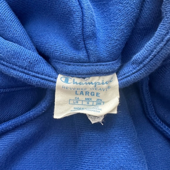 Champion Color Block Pullover Hooded Sweatshirt Women's Large - Picture 11 of 12